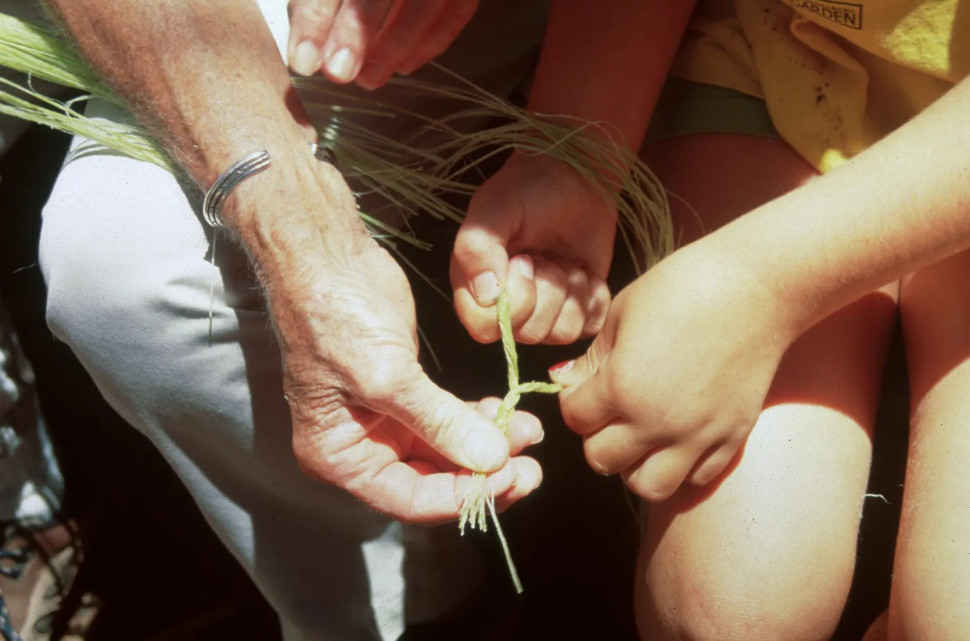 SBBG Summer Camp, Master Gardener Volunteer Slide Show, duplicate