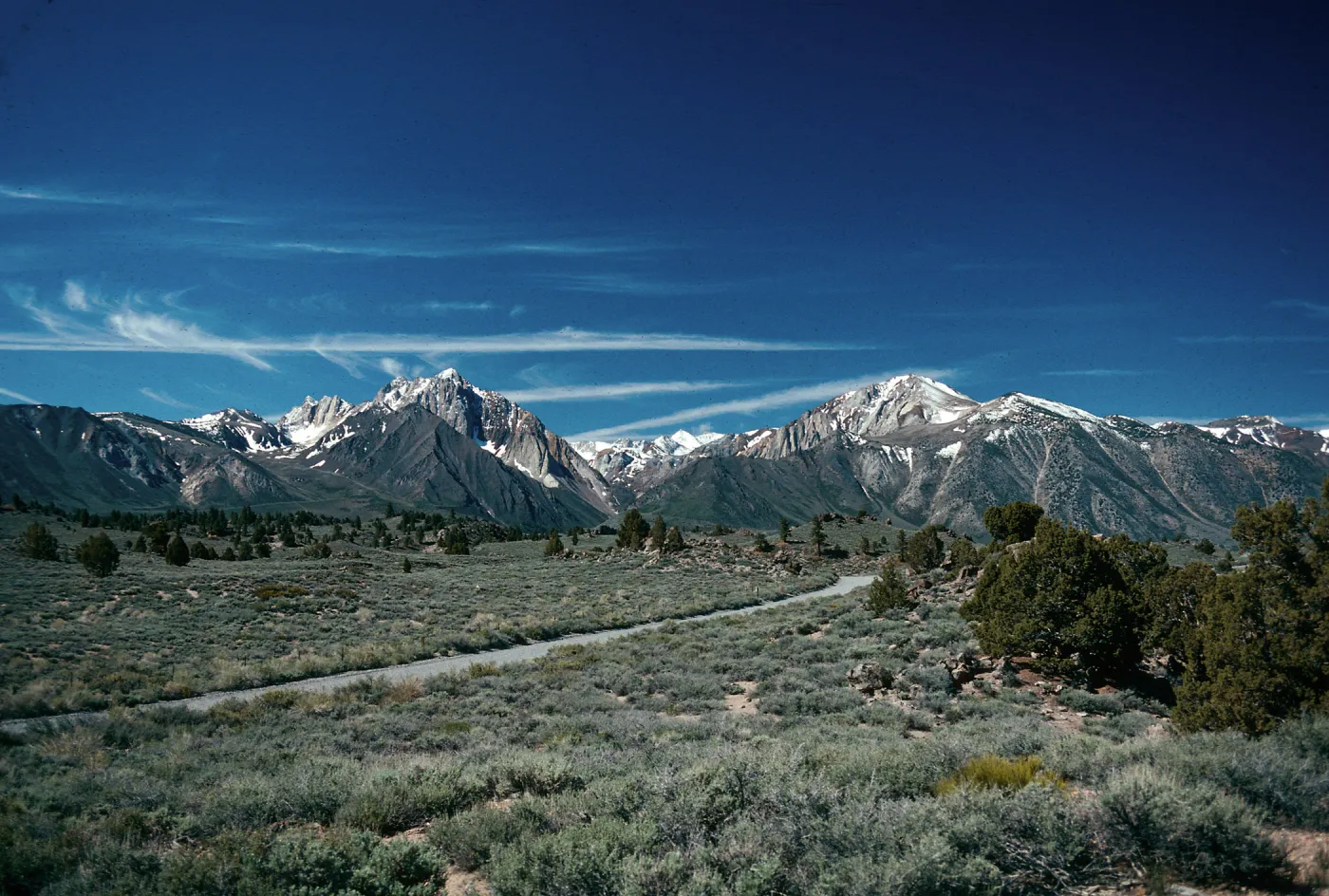 Artemisia tridentata, Juniperus osteosperma, Hot Creek, S.W. of Mammoth Lakes, W. toward Sierra Crest, Mono County