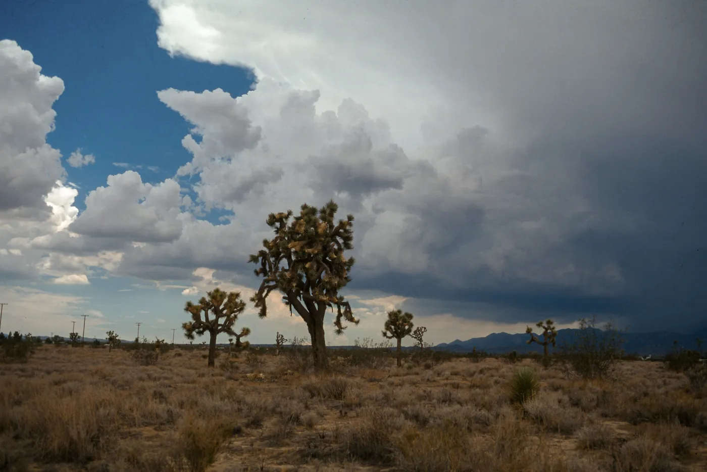 West of Victorville