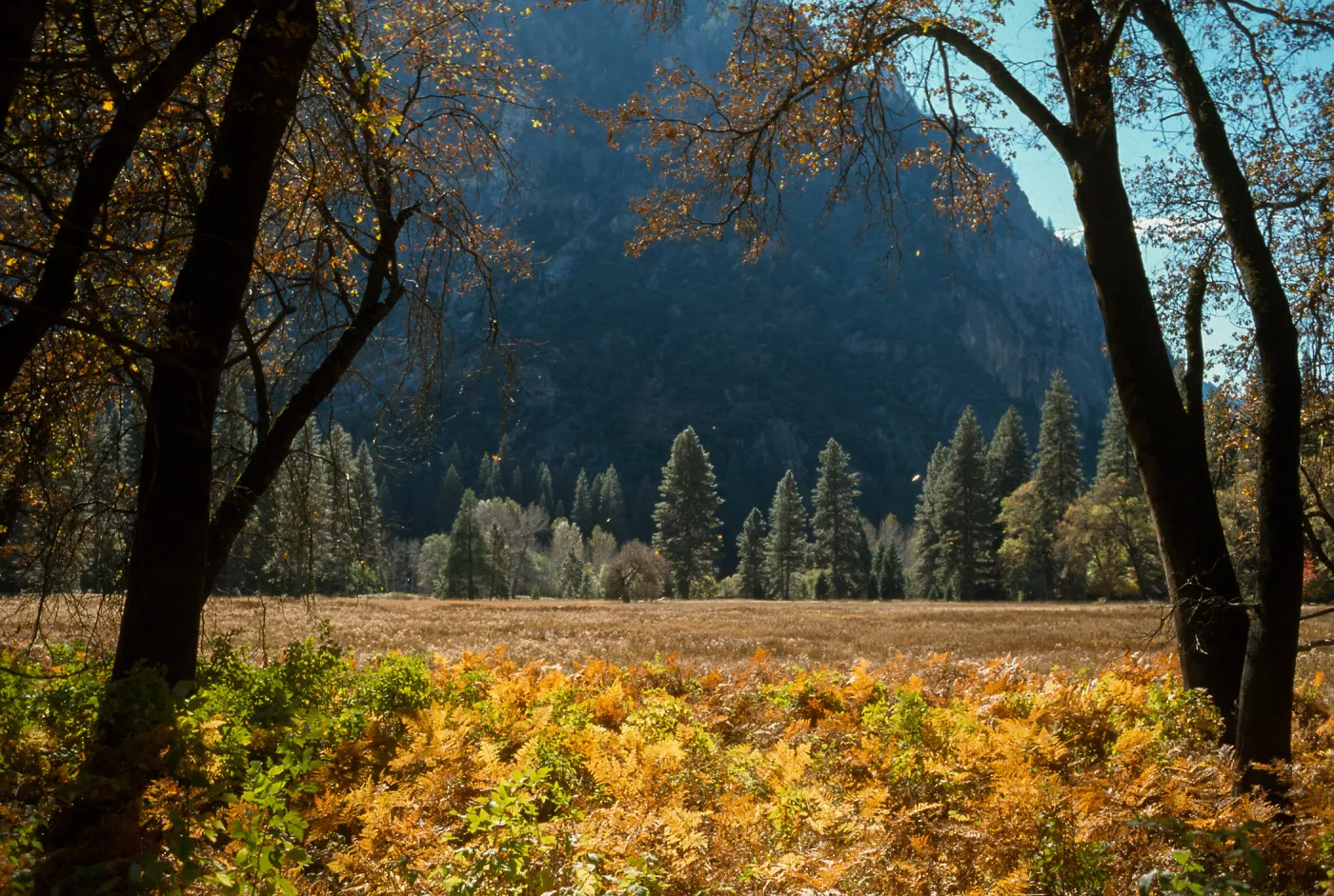 Yosemite Valley