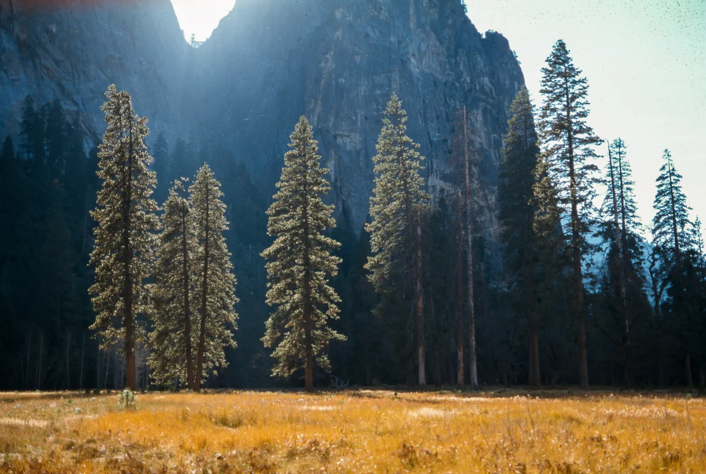 Yosemite Valley