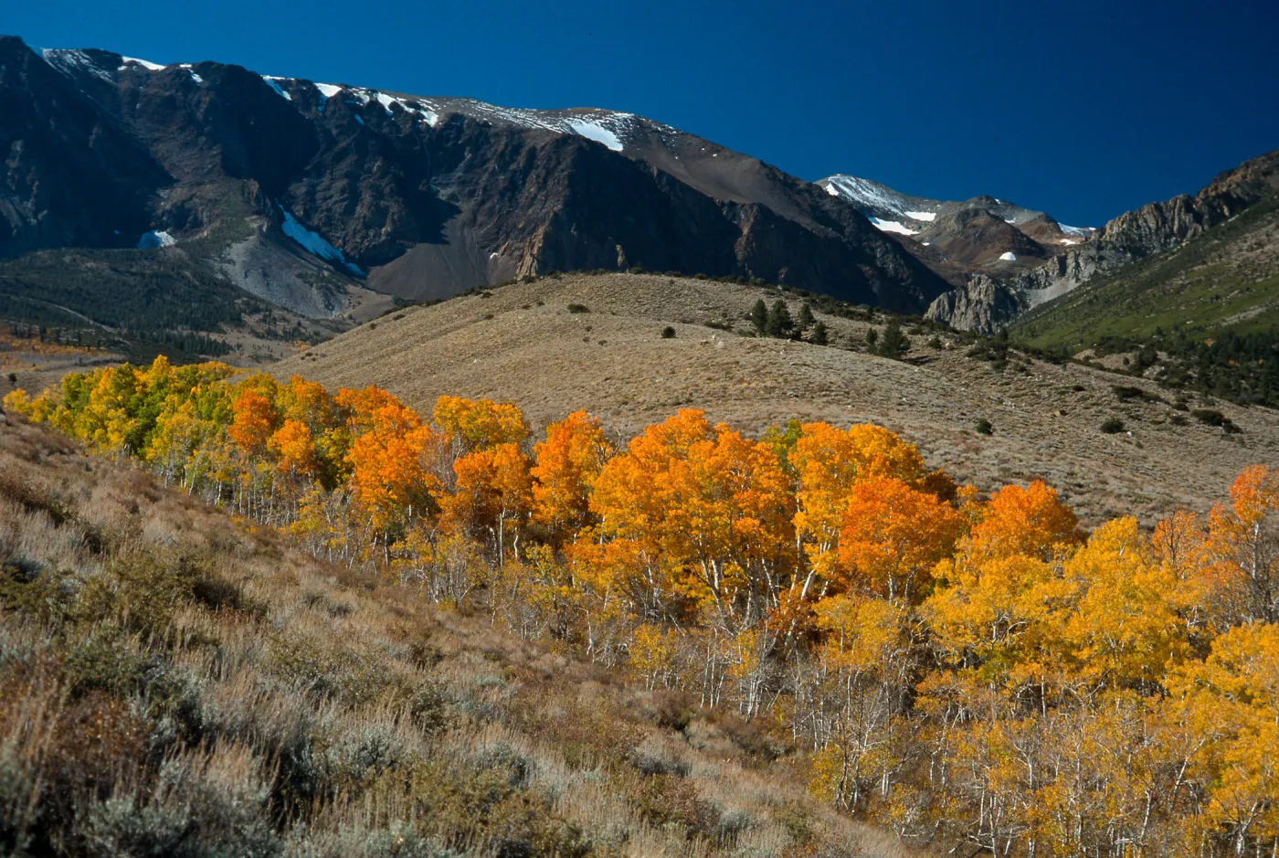 Parker Lake Road, June Lake Loop