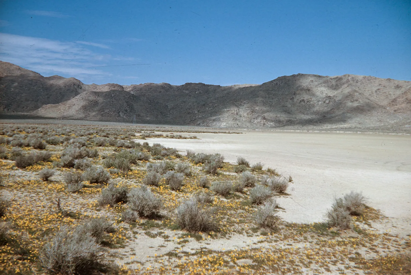 Rabbit Dry Lake, Lucerne Valley