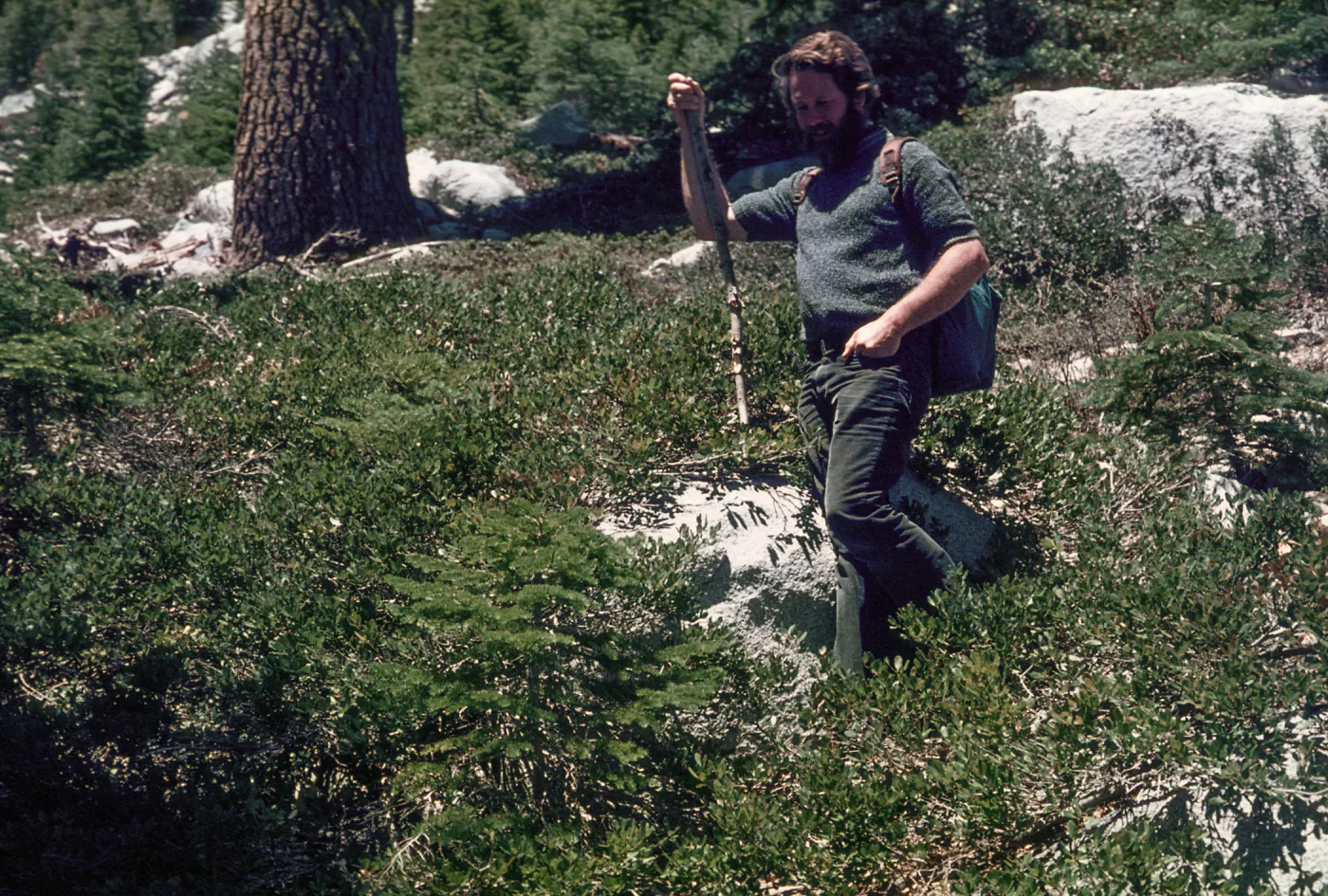 Quercus vaccinifolia, Ralph Philbrick, Russian Peak, Salmon Mountains, Siskiyou County