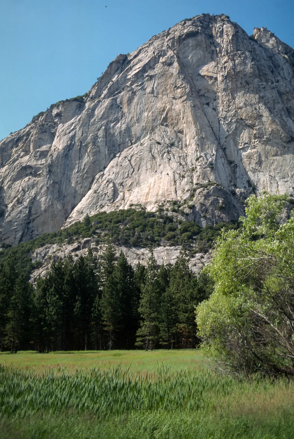 Kings Canyon National Park, Southern Sierra Nevada