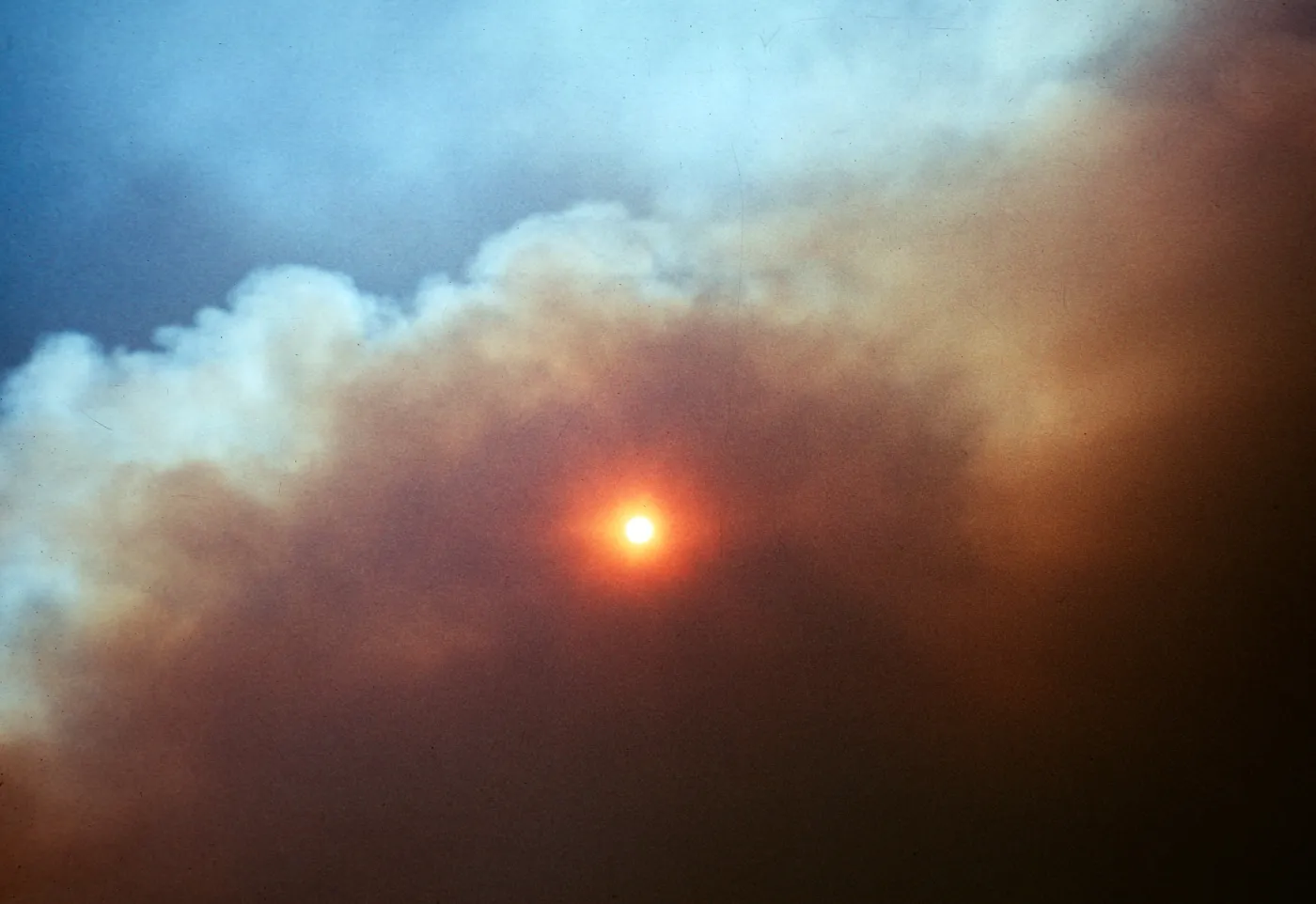 Coyote fire