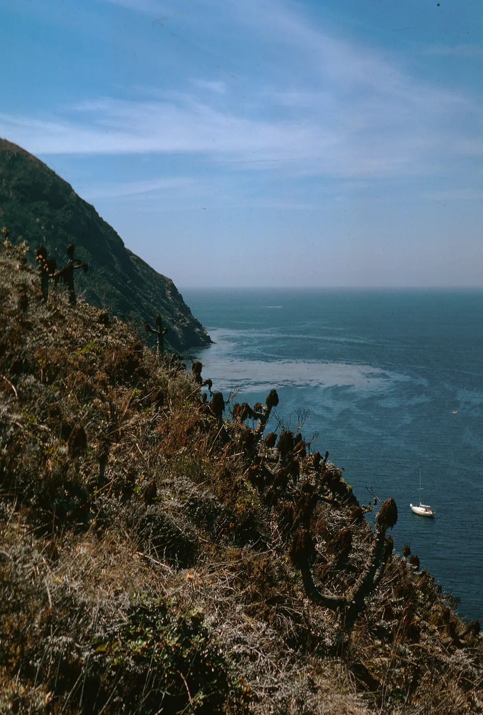 Anacapa Island