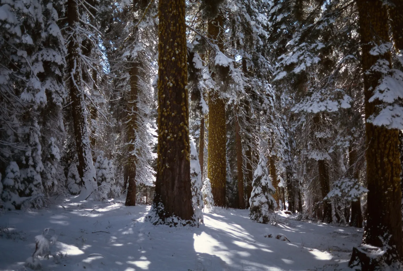 Carson Pass Highway, Alpine County