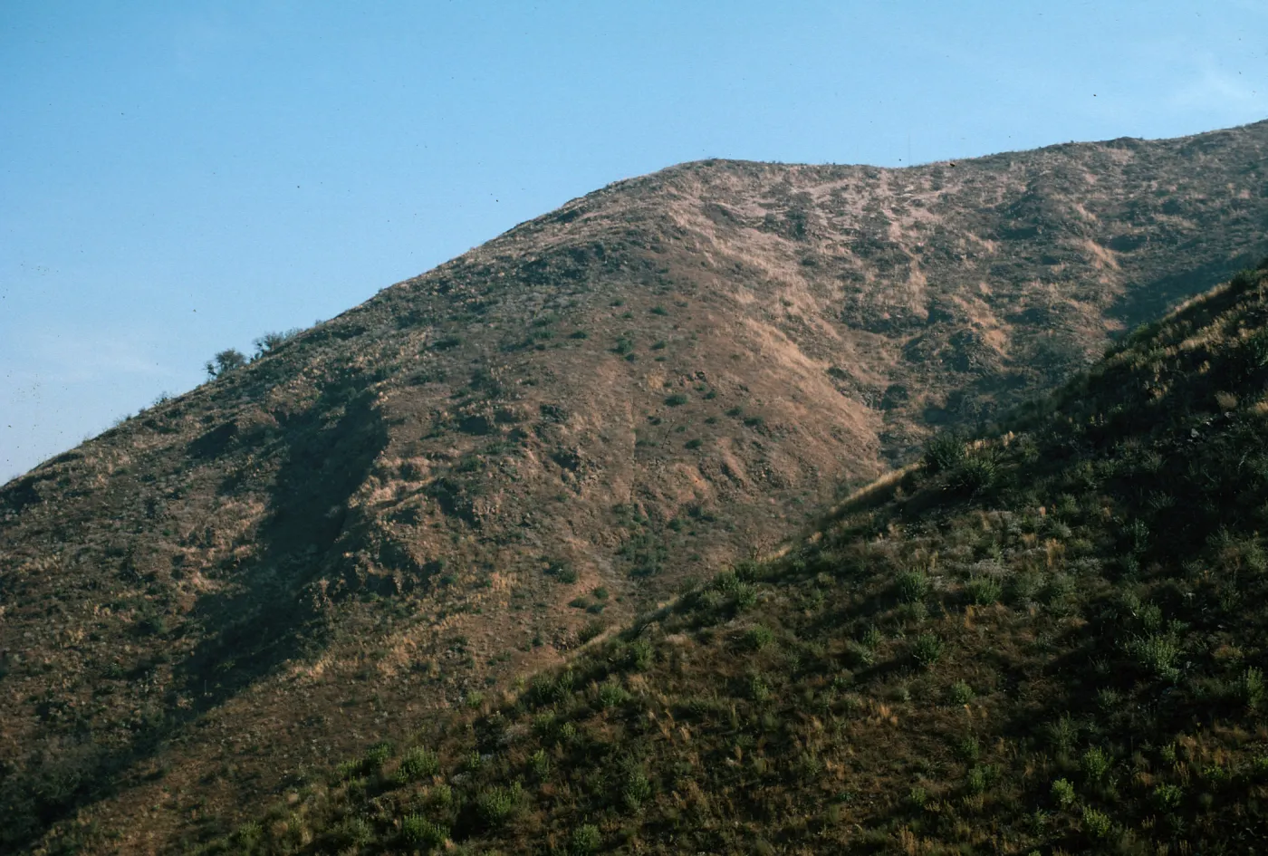 Cleveland National Forest Variation of Site Calochortus weedii Habitat