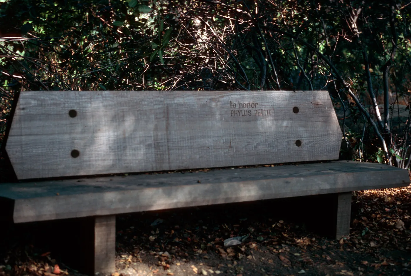 Pettit Bench (Bench #10)
