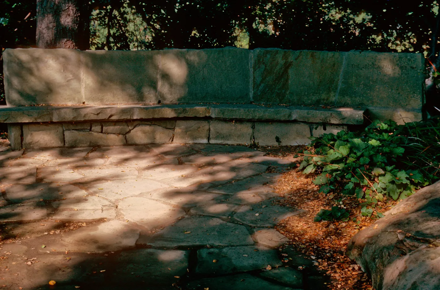 Palme Bench (bench #20)
