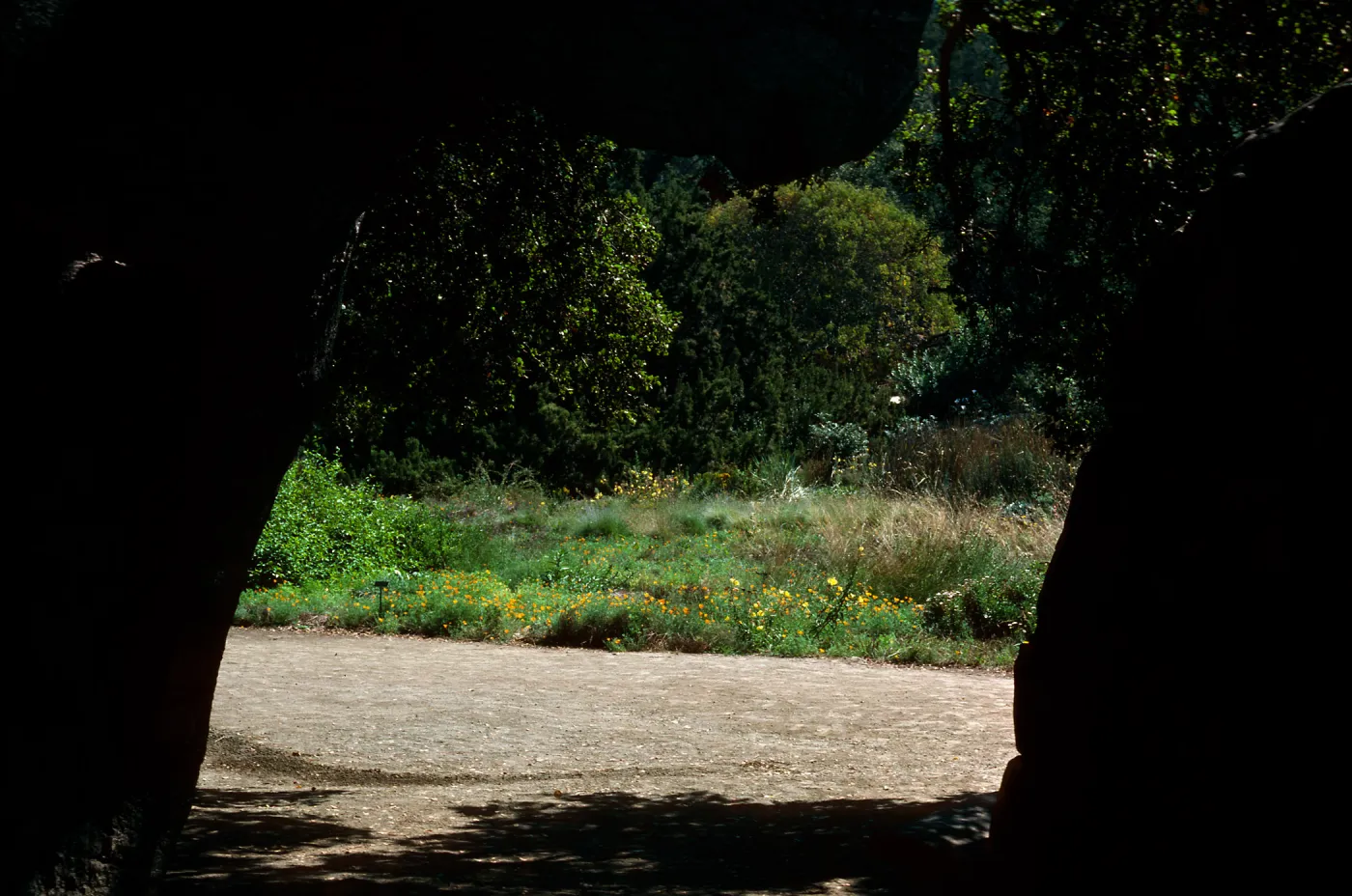 Meadow framed by oak and boulder