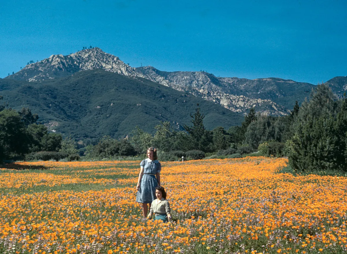 Two women standing in the Meadow