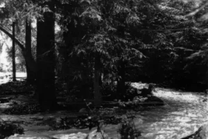 black and white photo