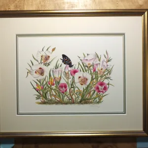 Mariposas and Clarkias