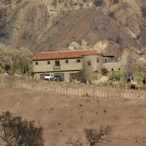 Tea fire, vegetation around burned home site