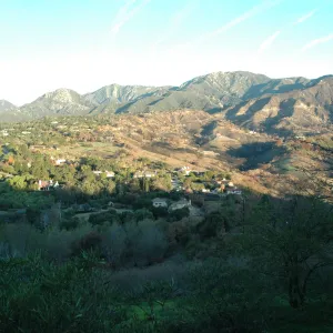 Tea fire, western boundary with unburned urban/rural vegetation