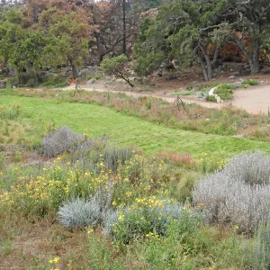 SBBG Meadow as seen from roof of Herb Parker structure