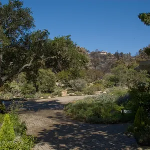 Santa Barbara Botanic Garden after the Jesusita Fire