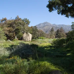 Santa Barbara Botanic Garden after the Jesusita Fire
