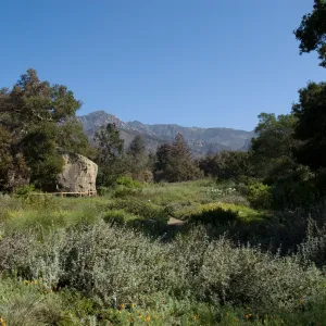 Santa Barbara Botanic Garden after the Jesusita Fire