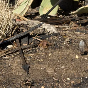 Desert Section, Santa Barbara Botanic Garden after the Jesusita Fire, Living Collections aluminum plant tags