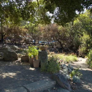 Conservation Display Garden after the Jesusita Fire