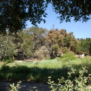 Santa Barbara Botanic Garden after the Jesusita Fire