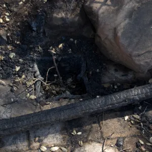 Santa Barbara Botanic Garden after the Jesusita Fire, melted irrigation box, burned railing