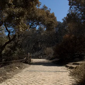 Santa Barbara Botanic Garden after the Jesusita Fire
