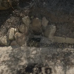 Santa Barbara Botanic Garden after the Jesusita Fire, burned plastic drain