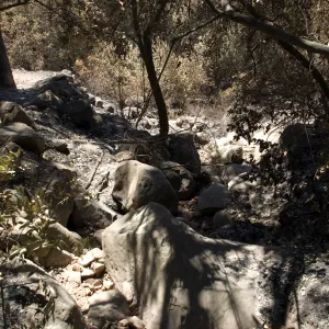 Rocky drainage from Pritchett Trail to bottom of canyon after Jesusita Fire