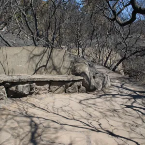 stone bench, Pritchett Bench, Pritchett Trail after the Jesusita Fire