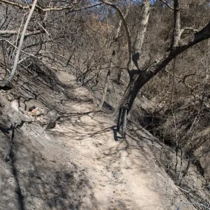 burned wood bench location on Pritchett Trail after the Jesusita Fire