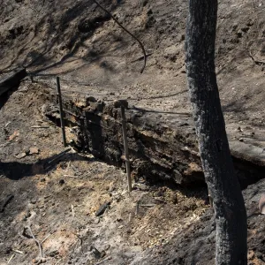 burned out railroad tie retating wall, Pritchett Trail after the Jesusita Fire
