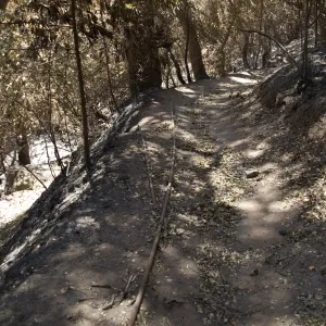 Pritchett Trail after the Jesusita Fire