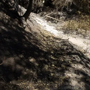 Pritchett Trail at Canyon Trail exit after the Jesusita Fire
