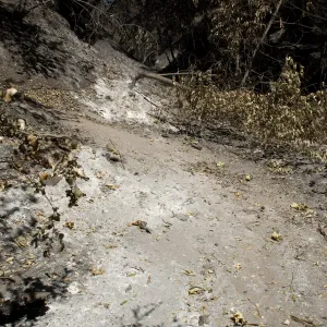 Pritchett Trail at Canyon Trail after the Jesusita Fire