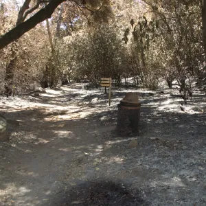 Canyon Trail at Campbell Bridge after the Jesusita Fire