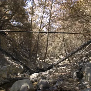 Campbell Bridge after the Jesusita Fire