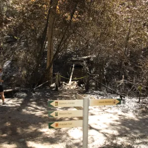 Directional signage on Canyon Trail after the Jesusita Fire