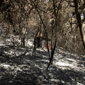 burned metal shed in Mission Canyon after the Jesusita Fire