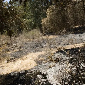 The Island Section after the Jesusita Fire