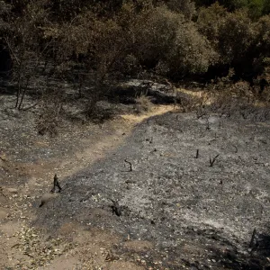 The Island Section after the Jesusita Fire