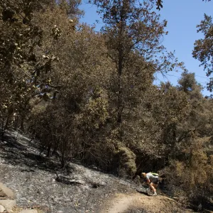 the Island Section after the Jesusita Fire