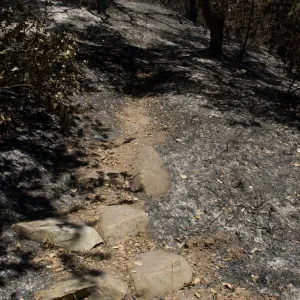 Island Section after the Jesusita Fire