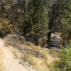 Easton Aqueduct Trail, just south of the Island Section after the Jesusita Fire