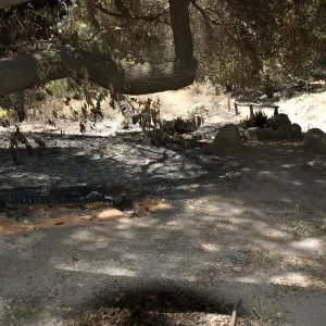 burned wood bench in Mission Canyon after the Jesusita Fire