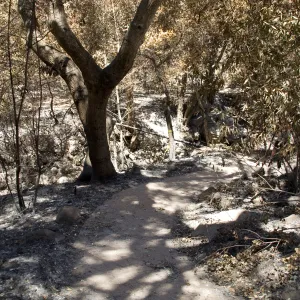 remains of Campbell Bridge after the Jesusita Fire
