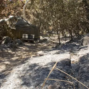 stone aqueduct and unburned wood bench along Canyon Trail, after the Jesusita Fire